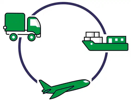 LOGISTICA 360